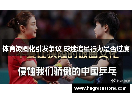 体育饭圈化引发争议 球迷追星行为是否过度