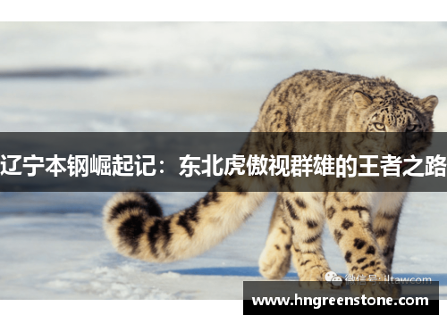 辽宁本钢崛起记：东北虎傲视群雄的王者之路